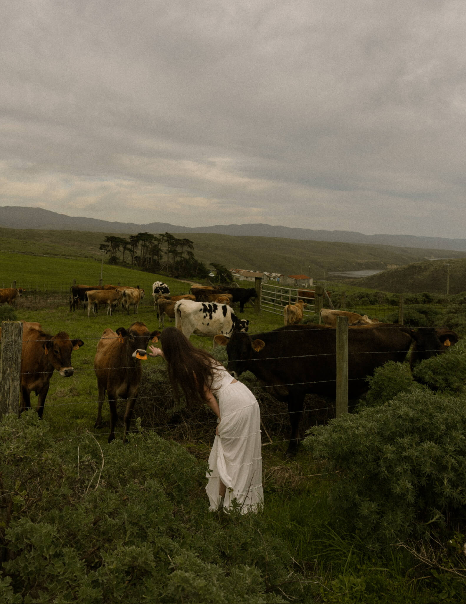 Wedding — Napa Valley · 2024